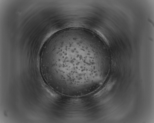 X0000091881035200709191152