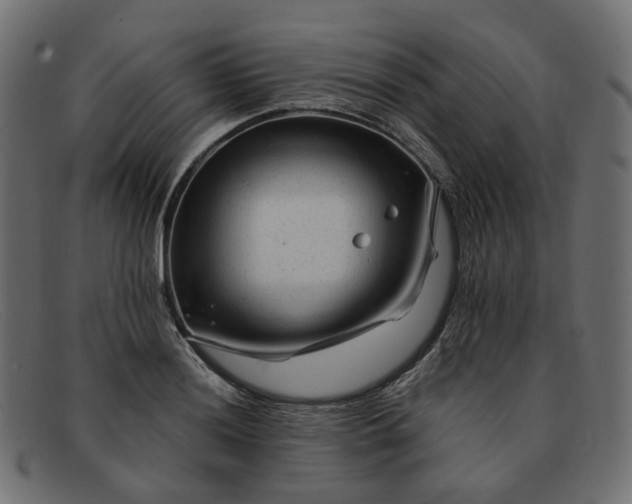 X0000091881036200709191152