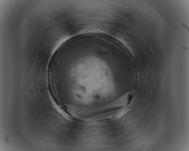 X0000091881038200709191152