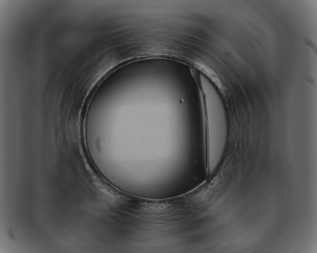 X0000091881039200709191152