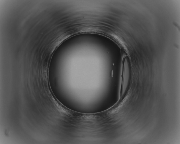 X0000091881041200709191152