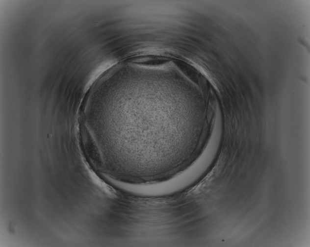 X0000091881042200709191152