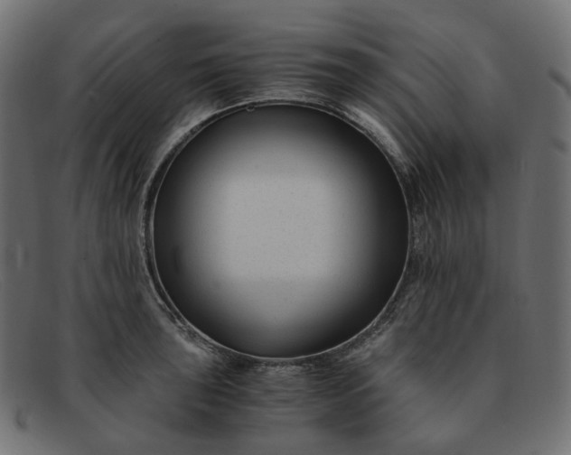 X0000091881043200709191152