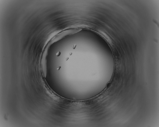 X0000091881044200709191152