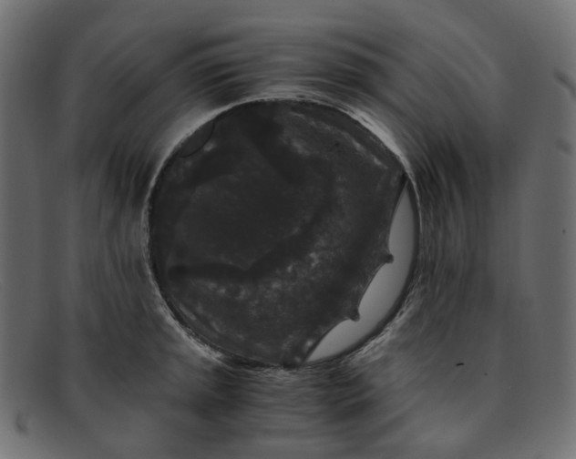 X0000091881045200709191152