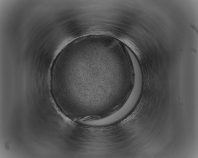 X0000091881046200709191152