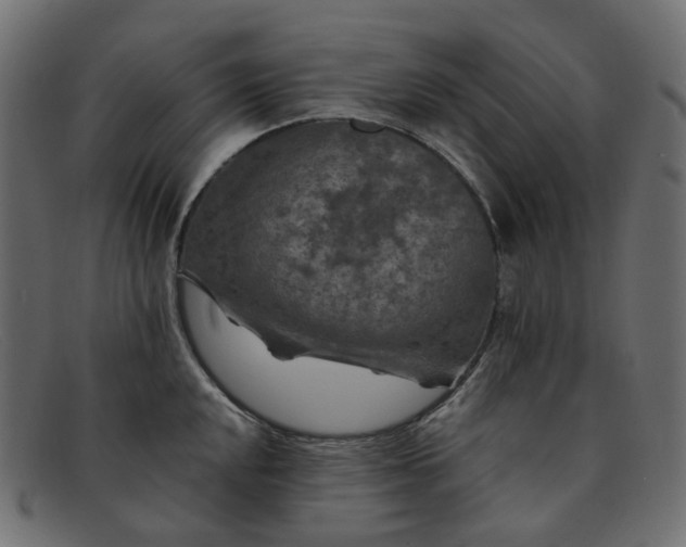 X0000091881048200709191152