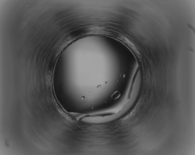 X0000091881049200709191152