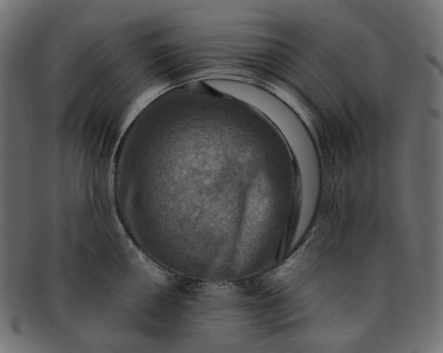 X0000091881050200709191152