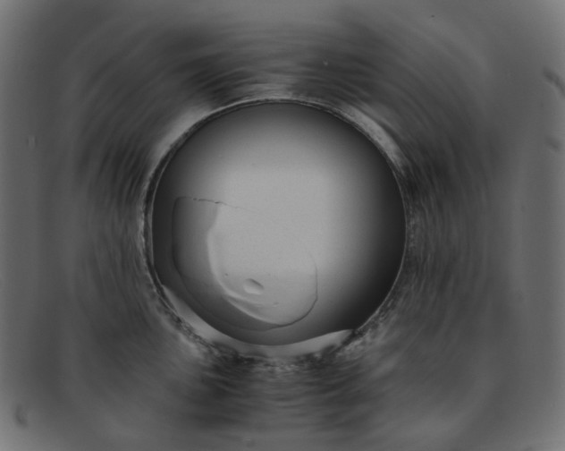 X0000091881051200709191152