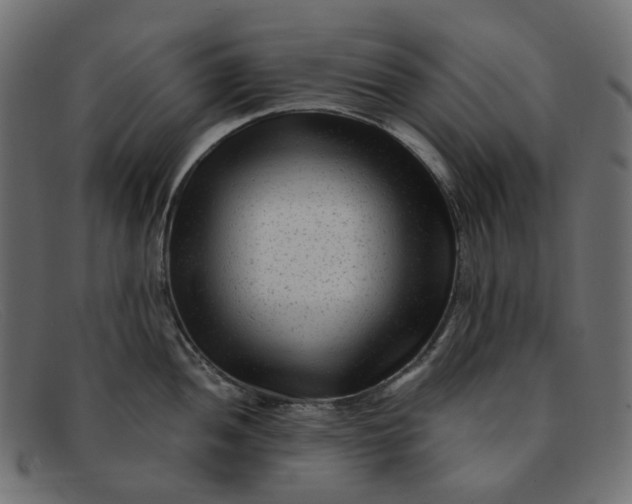 X0000091881052200709191152