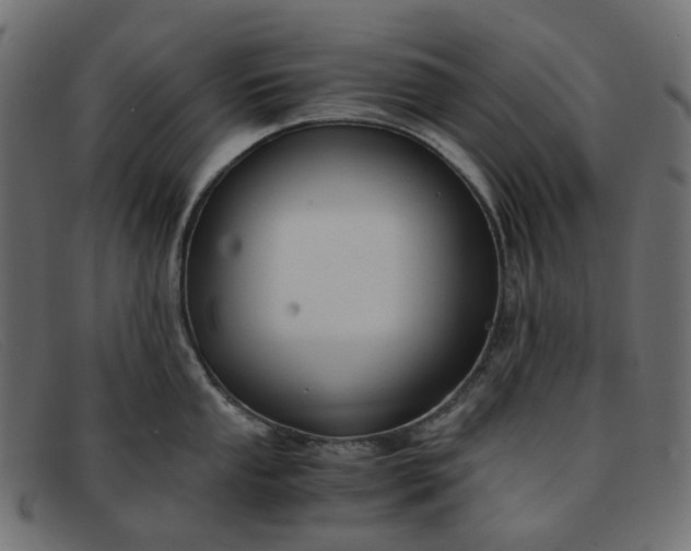 X0000091881053200709191152