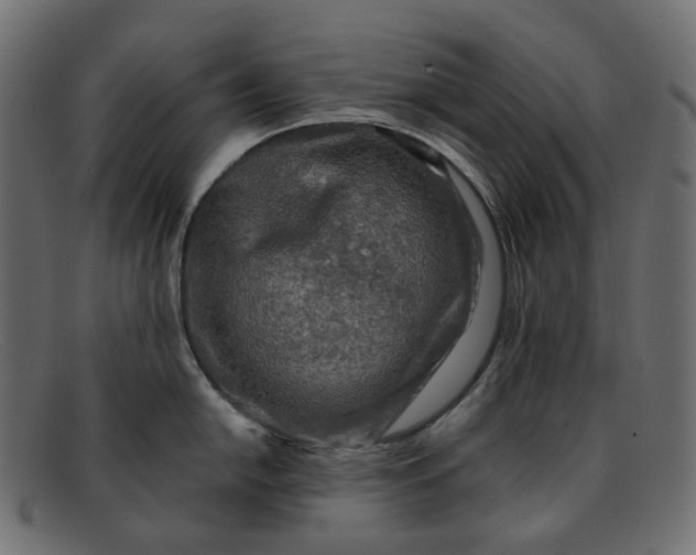 X0000091881054200709191152