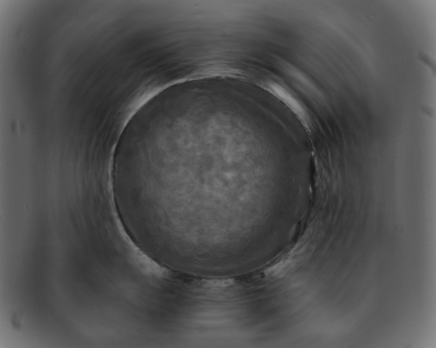 X0000091881055200709191152