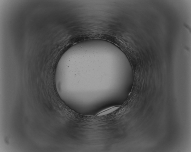 X0000091881057200709191151