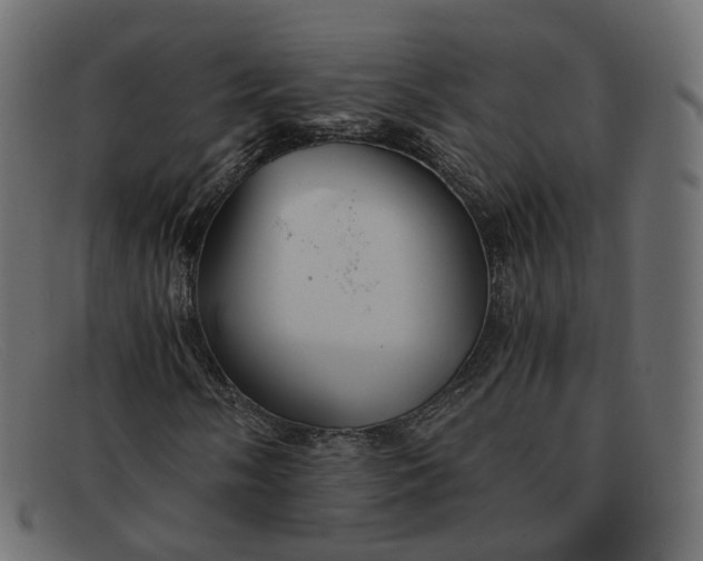 X0000091881058200709191151