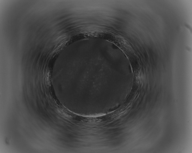 X0000091881060200709191151