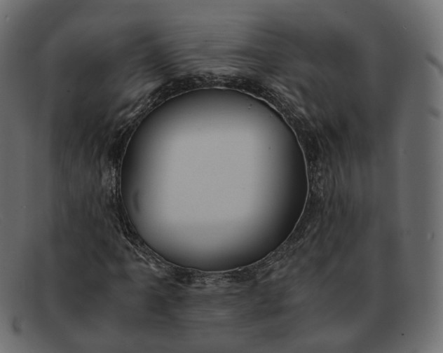 X0000091881061200709191151