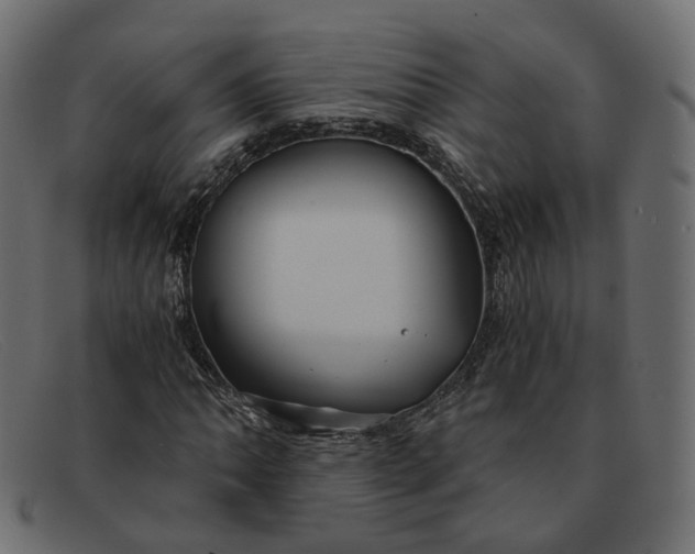 X0000091881062200709191151