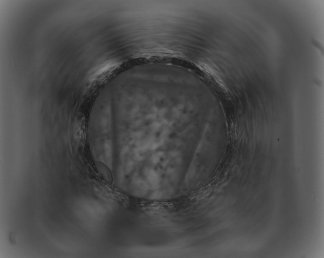 X0000091881063200709191151