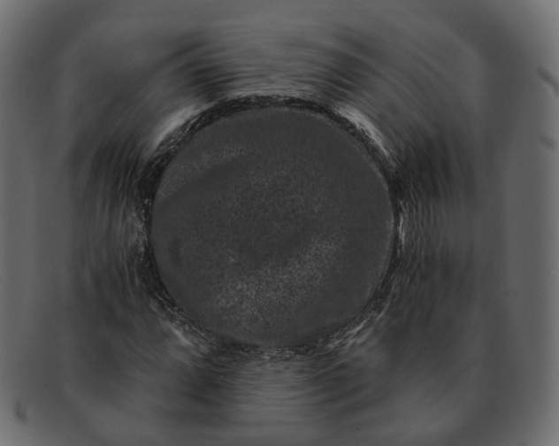 X0000091881064200709191151