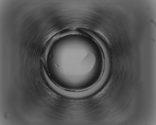 X0000091881065200709191151