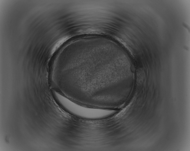 X0000091881066200709191151