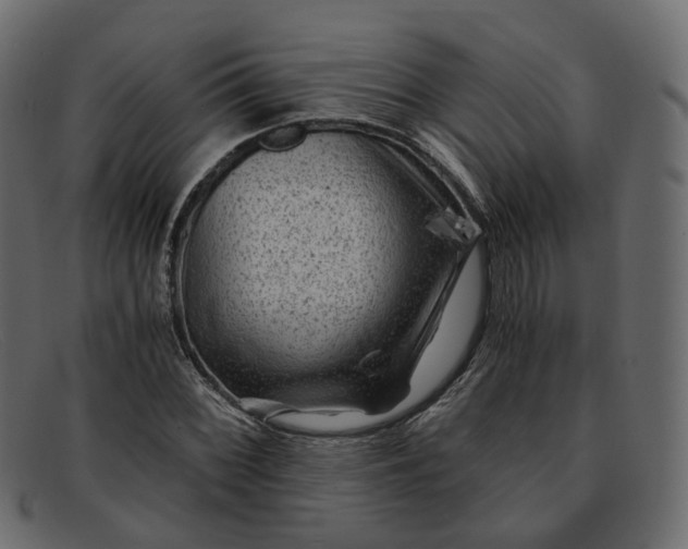 X0000091881068200709191151