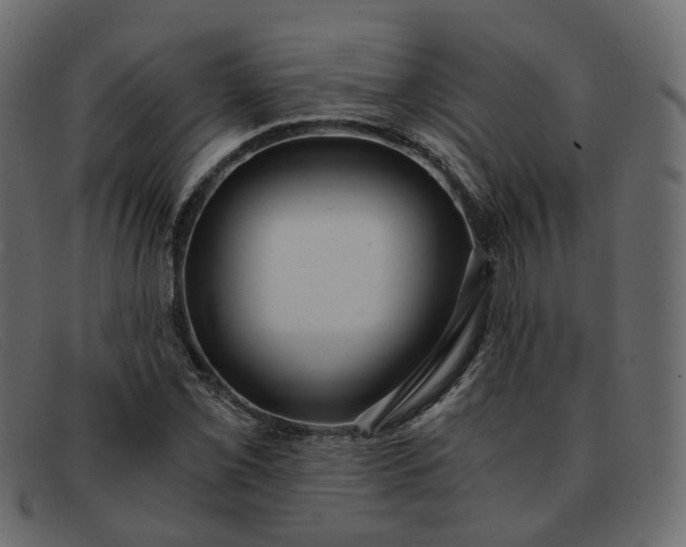 X0000091881069200709191151