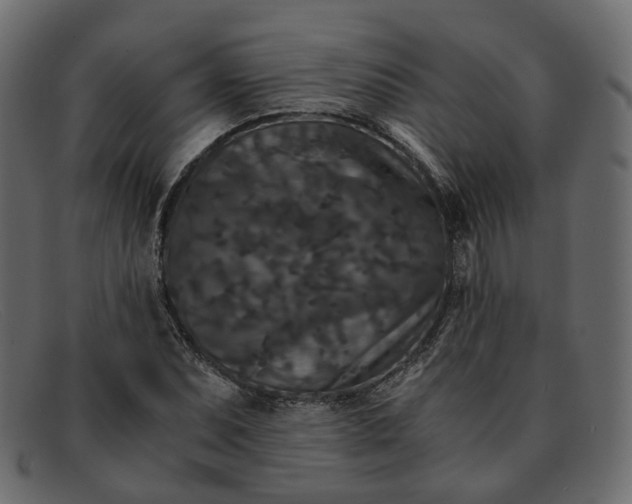 X0000091881071200709191151