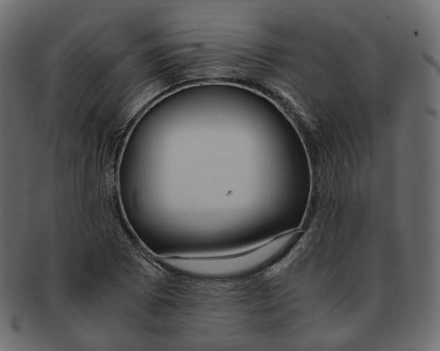 X0000091881073200709191151