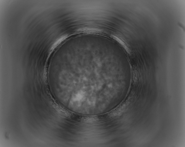 X0000091881074200709191151