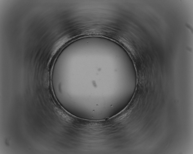 X0000091881075200709191151