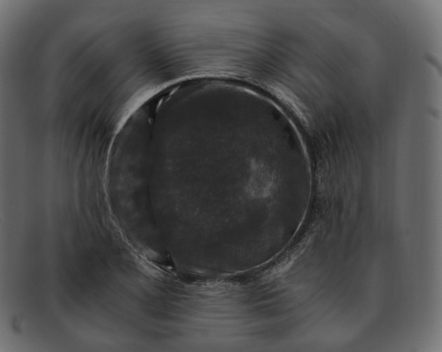 X0000091881077200709191151