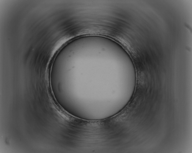 X0000091881078200709191151