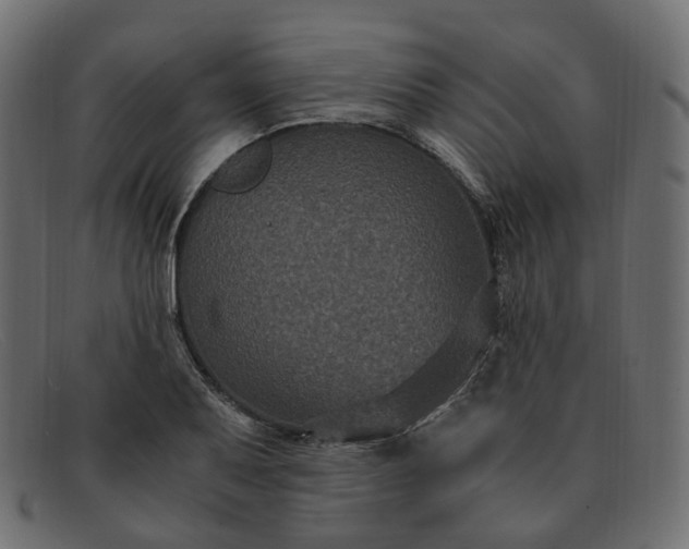 X0000091881079200709191151