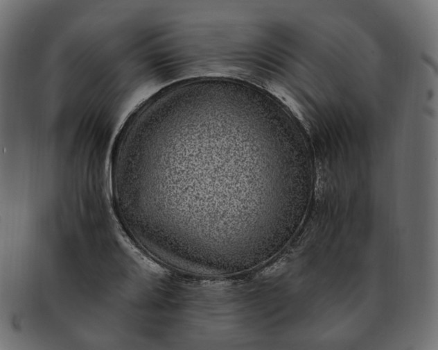 X0000091881080200709191151