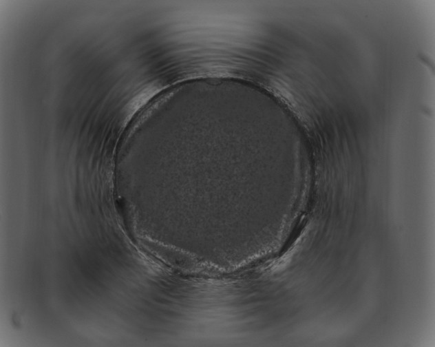 X0000091881081200709191151