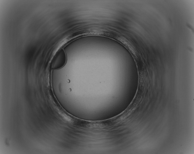 X0000091881083200709191151