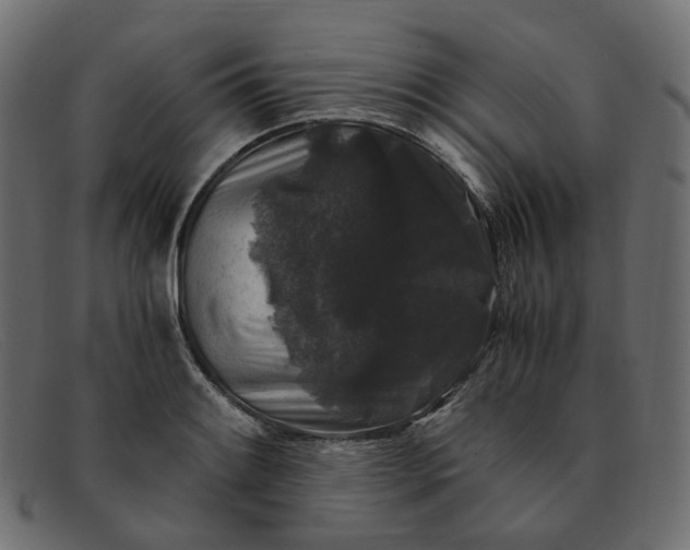 X0000091881084200709191151