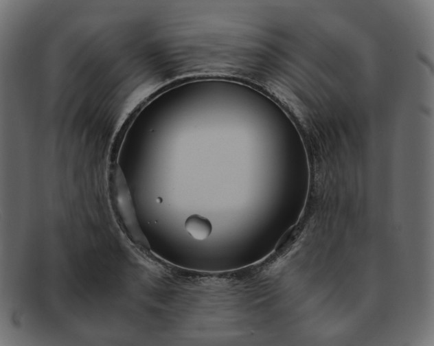 X0000091881085200709191151