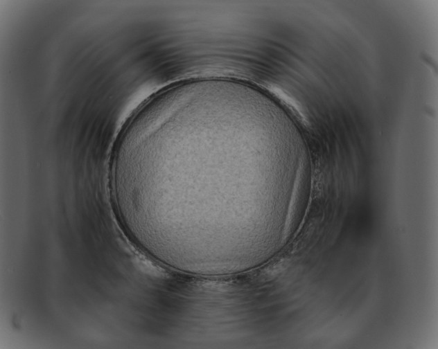 X0000091881086200709191151