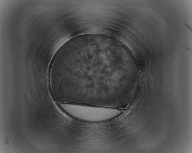 X0000091881087200709191151