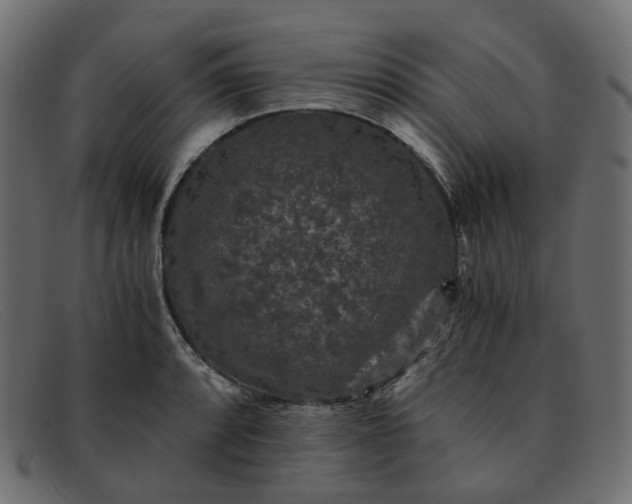 X0000091881088200709191151