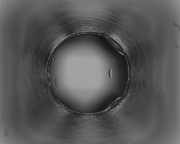 X0000091881089200709191151