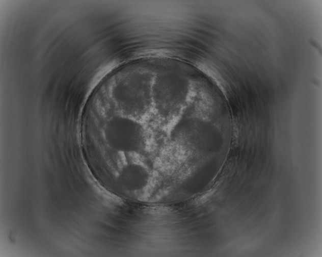 X0000091881090200709191151