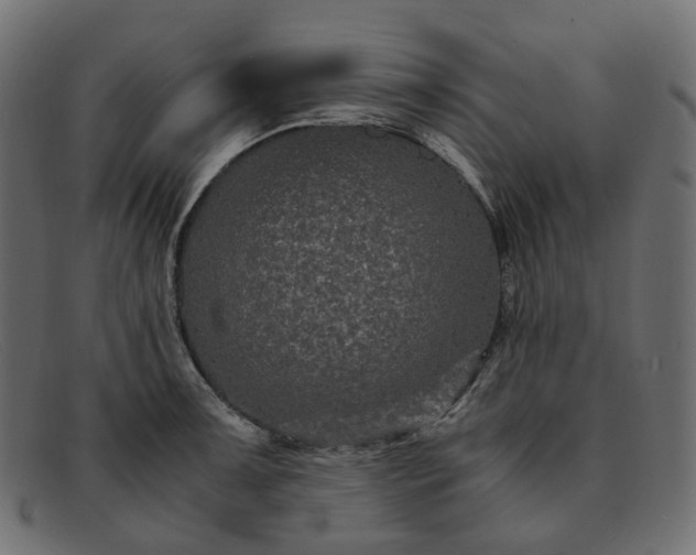 X0000091881091200709191151