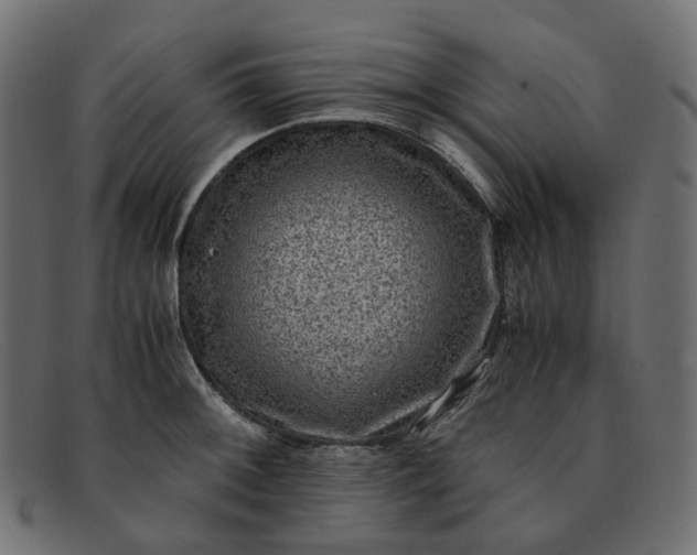 X0000091881092200709191151