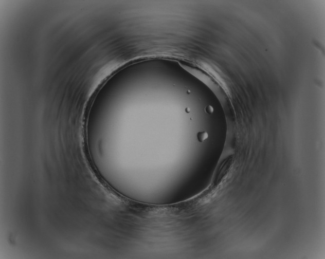 X0000091881093200709191151