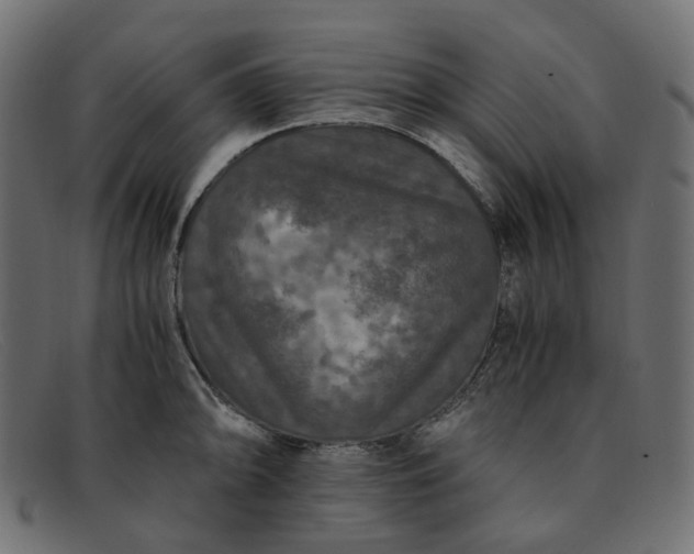 X0000091881094200709191151